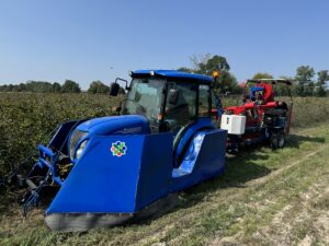 Trattore per la raccolta automatica delle bacche di Aronia